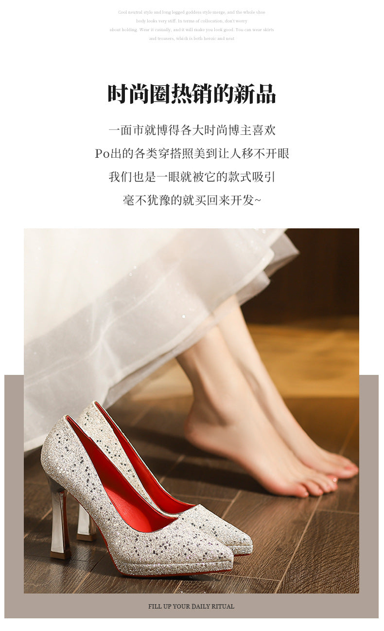 Eiria Luxury Pointed-Toe Sequin Stiletto Heels – Bridesmaid & Bridal Platform Shoes